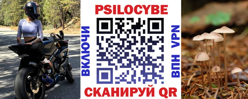 Галлюциногенные грибы мицелий  OMG как войти  Елизово  купить наркотики сайты 