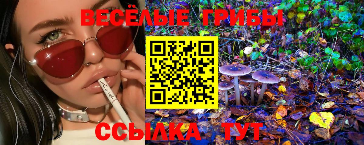 Елизово  Псилоцибиновые грибы Psilocybe  Вход с VPN  Псилоцибиновые грибы Cubensis 