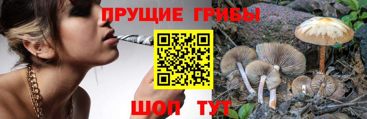 Галлюциногенные грибы Magic Shrooms Елизово